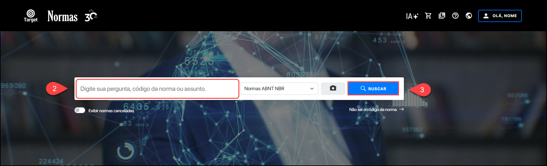 Pesquisa de normas