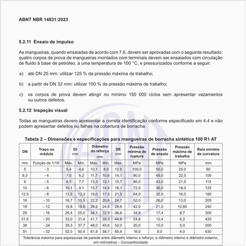 Como deve ser a construção das mangueiras 100 R2AT?