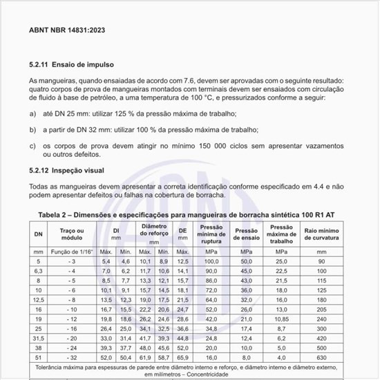 Como deve ser a construção das mangueiras 100 R2AT?