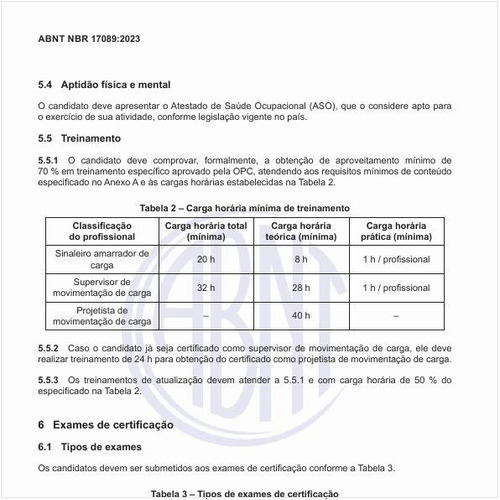 Qual a carga horária mínima de treinamento para os profissionais?