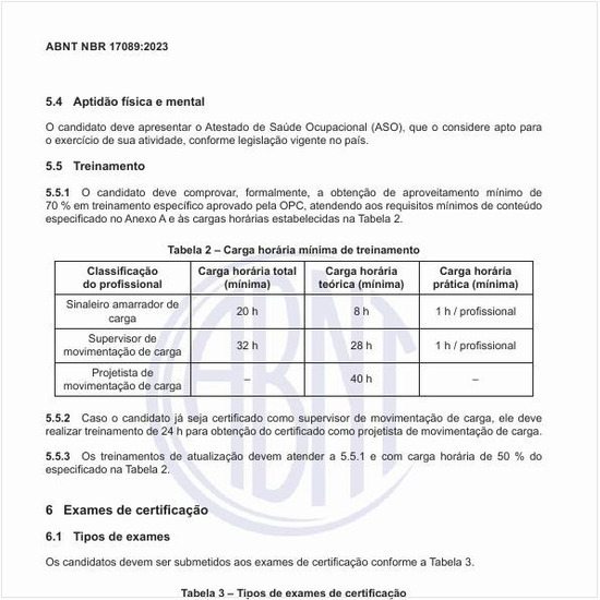 Qual a carga horária mínima de treinamento para os profissionais?