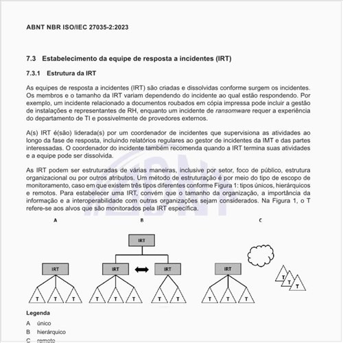 Como realizar o estabelecimento da equipe de resposta a incidentes (IRT)?