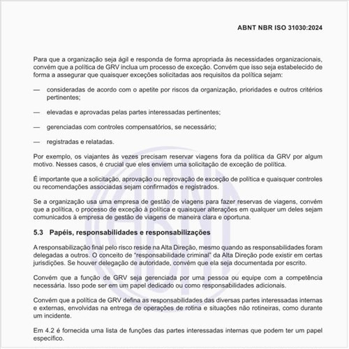 De quem são os papéis, responsabilidades e responsabilizações dentro da empresa?