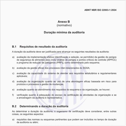 Quais devem ser os requisitos de resultado da auditoria?