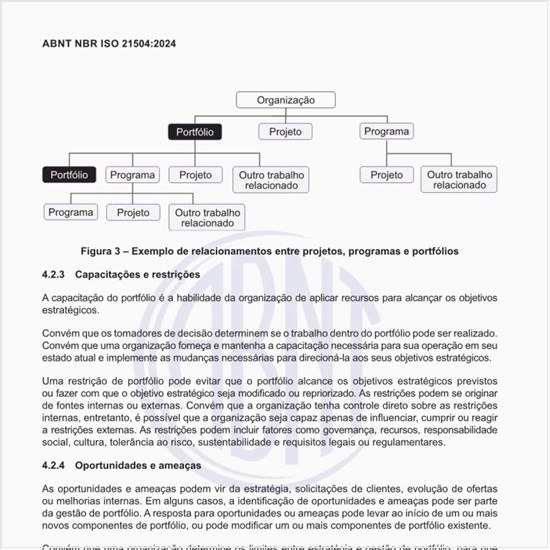 Quais os princípios dos papéis e responsabilidades?