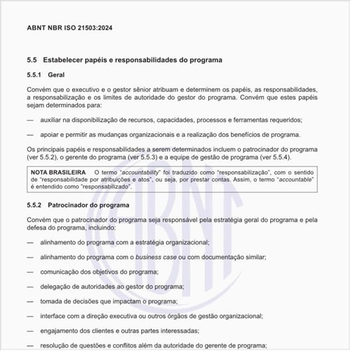 Por que estabelecer papéis e responsabilidades do programa?