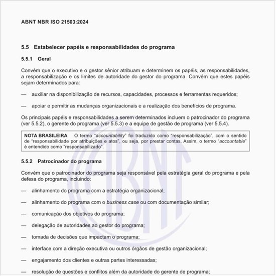 Por que estabelecer papéis e responsabilidades do programa?