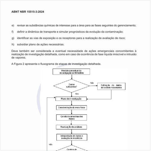 Qual seria o fluxograma de etapas de investigação detalhada?