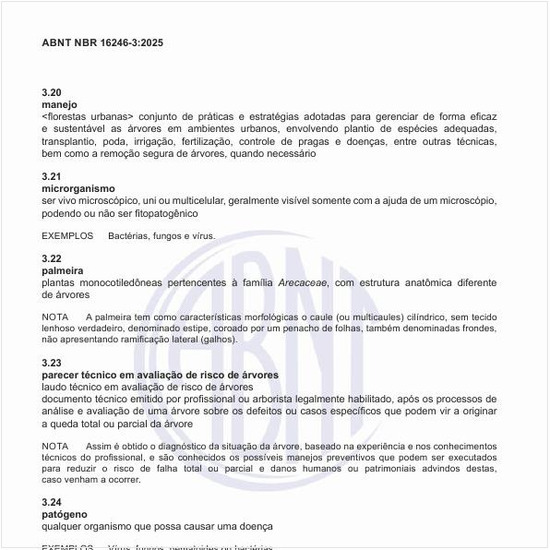 O que é um parecer técnico em avaliação de risco de árvores?