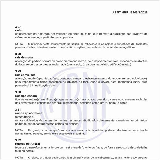 O que são os ramos epicórmicos?