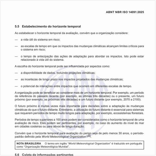 O que se deve considerar para o estabelecimento do horizonte temporal?