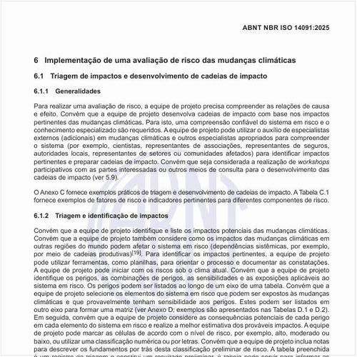 Por que fazer a triagem de impactos e o desenvolvimento de cadeias de impacto?