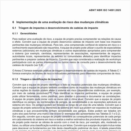 Por que fazer a triagem de impactos e o desenvolvimento de cadeias de impacto?