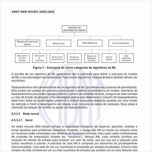 O que as redes neurais (NN) tentam simular?