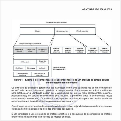 Qual seria um exemplo de componentes e subcomponentes de um produto de terapia celular em um determinado momento?