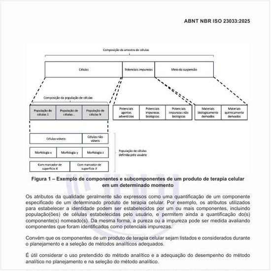 Qual seria um exemplo de componentes e subcomponentes de um produto de terapia celular em um determinado momento?