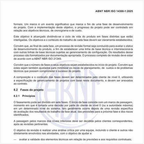 Quais devem ser as fases e o planejamento do projeto?