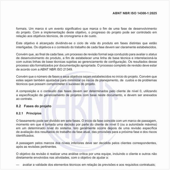 Quais devem ser as fases e o planejamento do projeto?