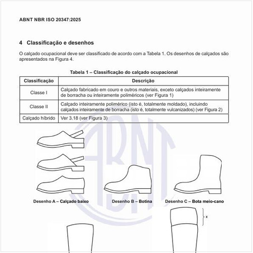 Qual é a classificação do calçado ocupacional?