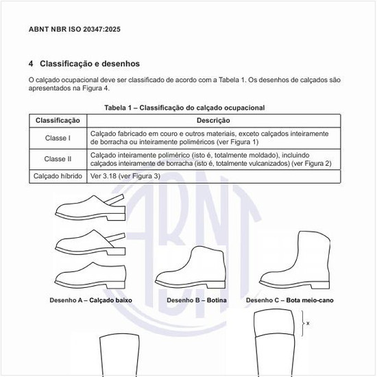 Qual é a classificação do calçado ocupacional?