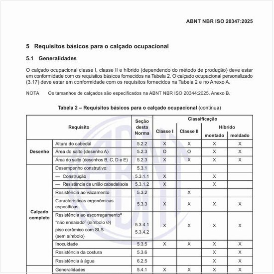 Quais são os requisitos básicos para o calçado ocupacional?