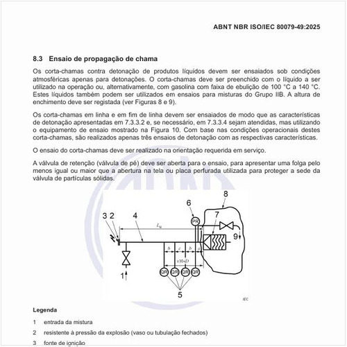Por que realizar o ensaio de propagação de chama?