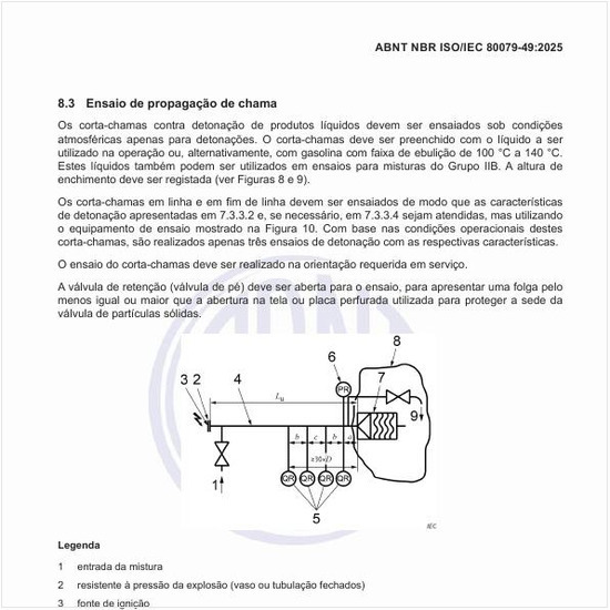 Por que realizar o ensaio de propagação de chama?