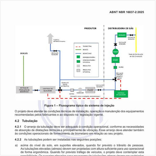 Como deve ser o fluxograma típico do sistema de injeção?