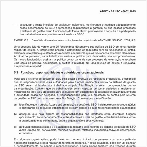 Quais as funções, responsabilidades e autoridades organizacionais para que o sistema de gestão de SST seja eficaz?