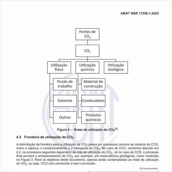 Quais são as rotas de utilização do CO2?
