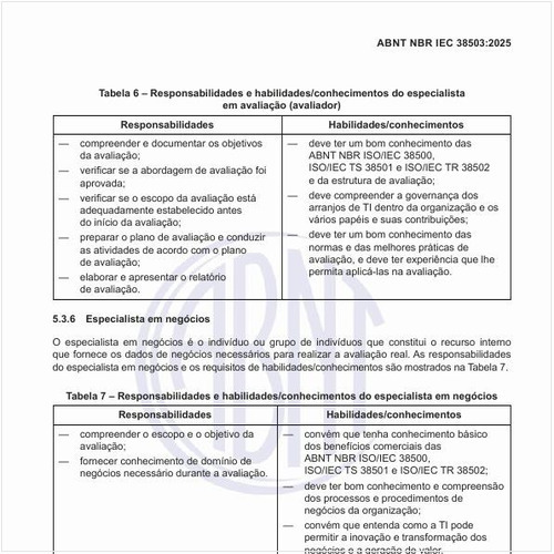 Quais são as responsabilidades e habilidades/conhecimentos do especialista em negócios?