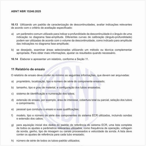 O que deve constar no relatório de ensaio?