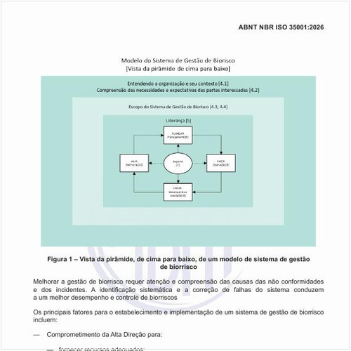 Como é a vista da pirâmide, de cima para baixo, de um modelo de sistema de gestão de biorrisco?