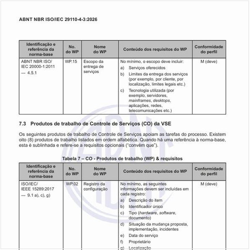 Quais são os produtos de trabalho de controle de serviços (CO) da VSE?
