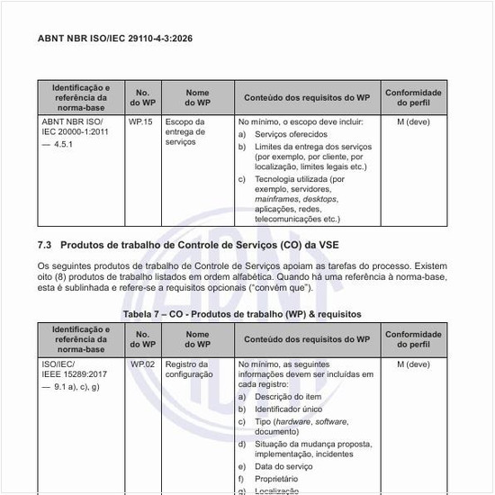 Quais são os produtos de trabalho de controle de serviços (CO) da VSE?