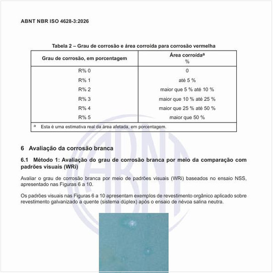 Qual o grau de corrosão e área corroída para corrosão vermelha?
