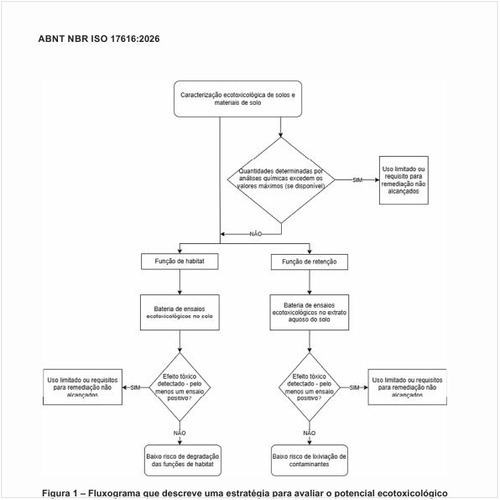Como é o fluxograma que descreve uma estratégia para avaliar o potencial ecotoxicológico de solos e materiais de solo?