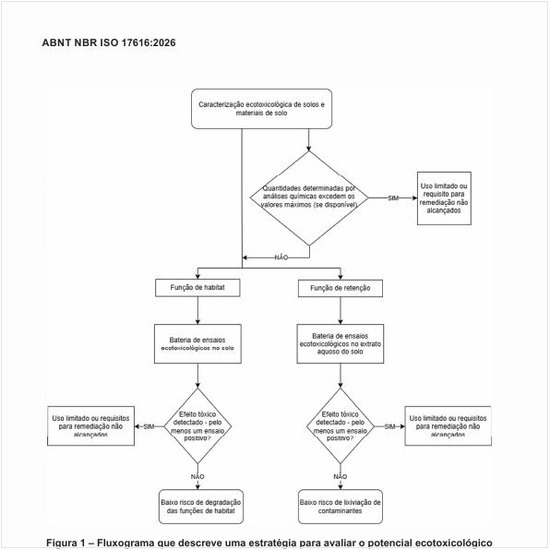 Como é o fluxograma que descreve uma estratégia para avaliar o potencial ecotoxicológico de solos e materiais de solo?