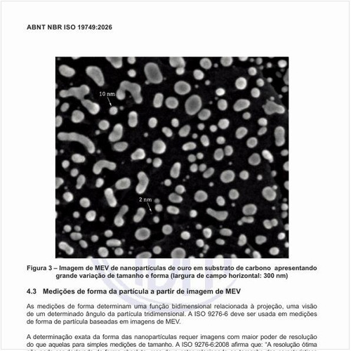 Como é a imagem de MEV de nanopartículas de ouro em substrato de carbono apresentando grande variação de tamanho e forma (largura de campo horizontal: 300 nm)?