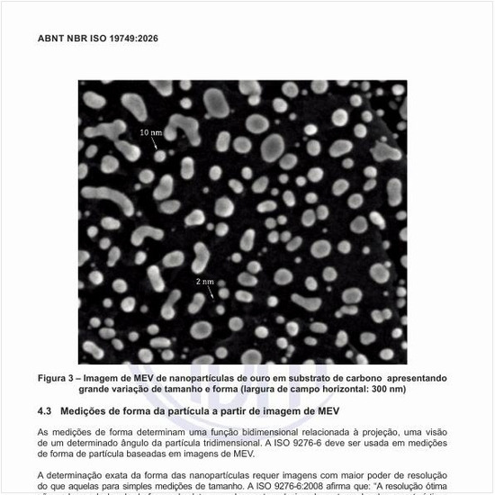 Como é a imagem de MEV de nanopartículas de ouro em substrato de carbono apresentando grande variação de tamanho e forma (largura de campo horizontal: 300 nm)?