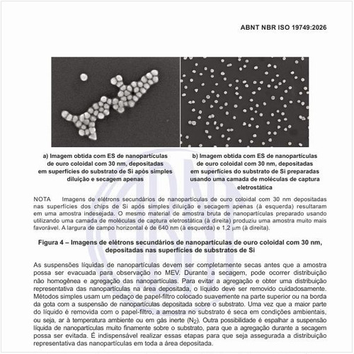 Como são as imagens de elétrons secundários de nanopartículas de ouro coloidal com 30 nm, depositadas nas superfícies de substratos de Si?