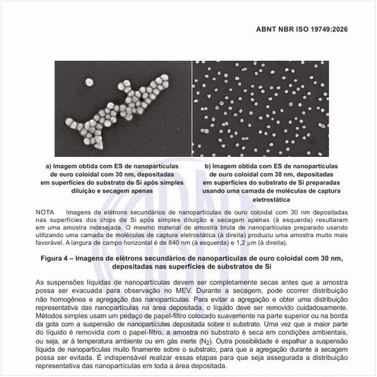 Como são as imagens de elétrons secundários de nanopartículas de ouro coloidal com 30 nm, depositadas nas superfícies de substratos de Si?