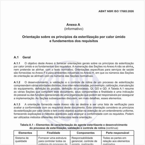 Quais são os elementos de caracterização do agente esterilizante e desenvolvimento do processo de esterilização, validação e controle de rotina?