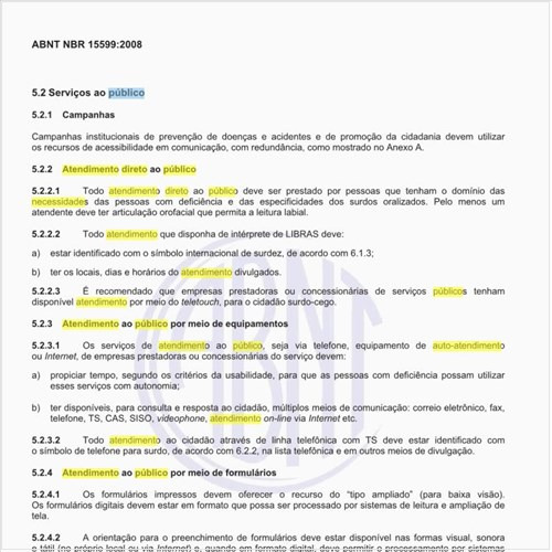 Quais as condições a serem observadas para o atendimento direto ao público portador de necessidades especiais?