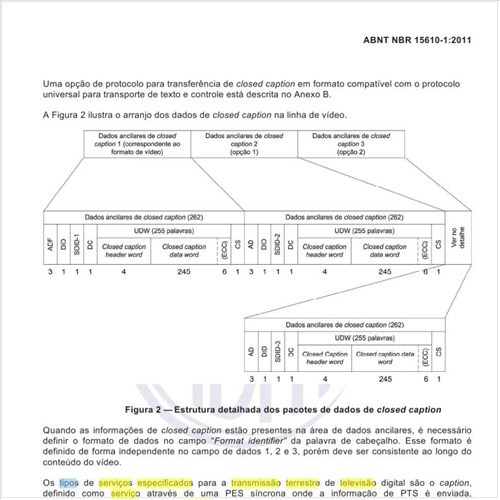 Quais os tipos de serviço especificados para a transmissão terrestre de televisão digital?