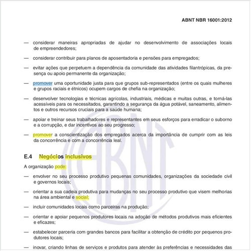 Em relação a Negócios inclusivos, como um sistema de gestão de responsabilidade social pode promover oportunidades de realizações, na comunidade?