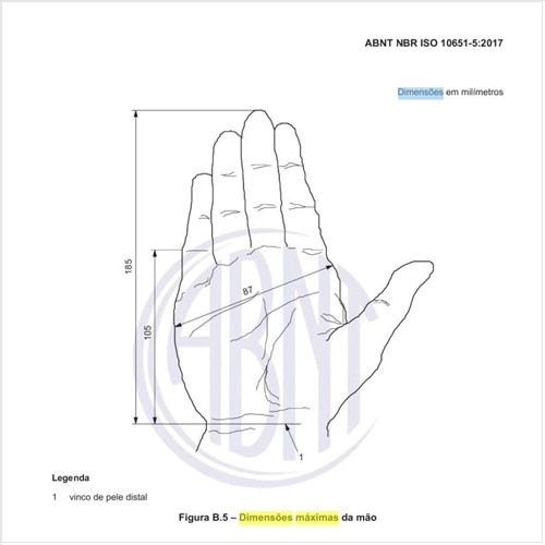 Quais as dimensões máximas da mão?