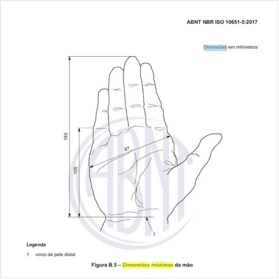 Quais as dimensões máximas da mão?
