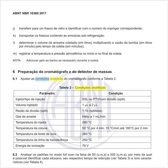 Quais as condições analíticas do cromatógrafo?