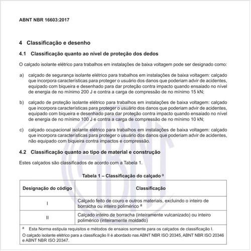 Qual é a classificação do calçado?